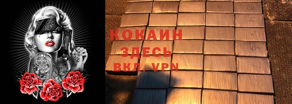 дживик Балахна