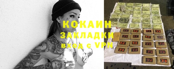 дживик Балахна