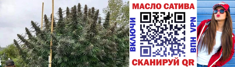 Дистиллят ТГК THC oil  ссылка на мегу вход  Салаир 