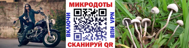 Галлюциногенные грибы MAGIC MUSHROOMS  Салаир 